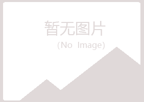 吉林雅山化学有限公司